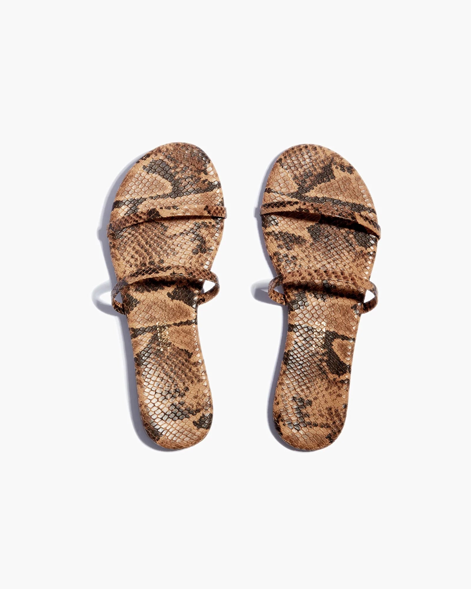 TKEES Gemma Vegan Animal Women\'s Sandals Snake | NTJSVM-270