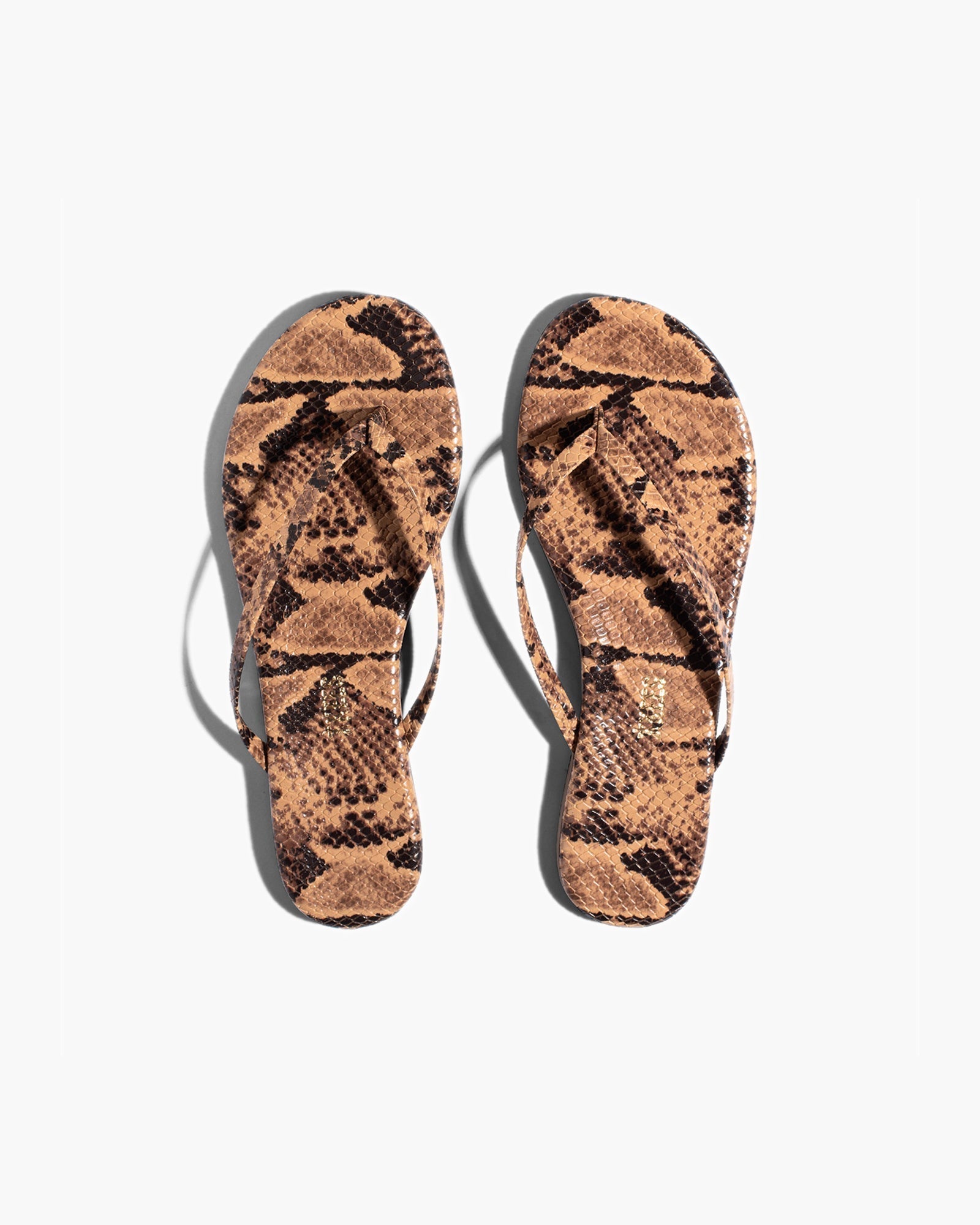 TKEES Lily Vegan Animal Women\'s Flip Flops Snake | AWTGBO-953