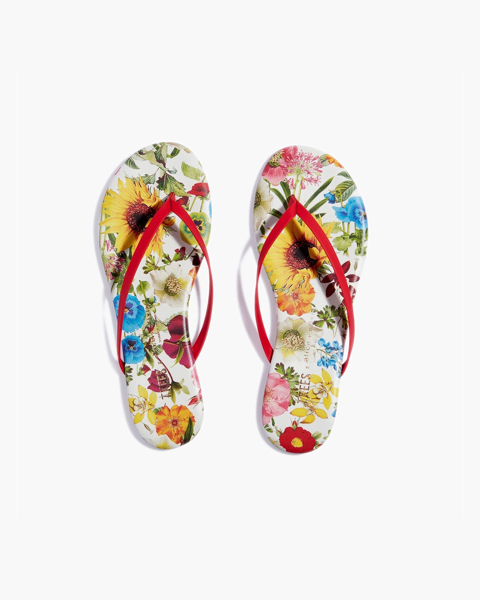 TKEES TKEES x Alice + Olivia Lily Women\'s Flip Flops Multicolor | TNXJKR-925